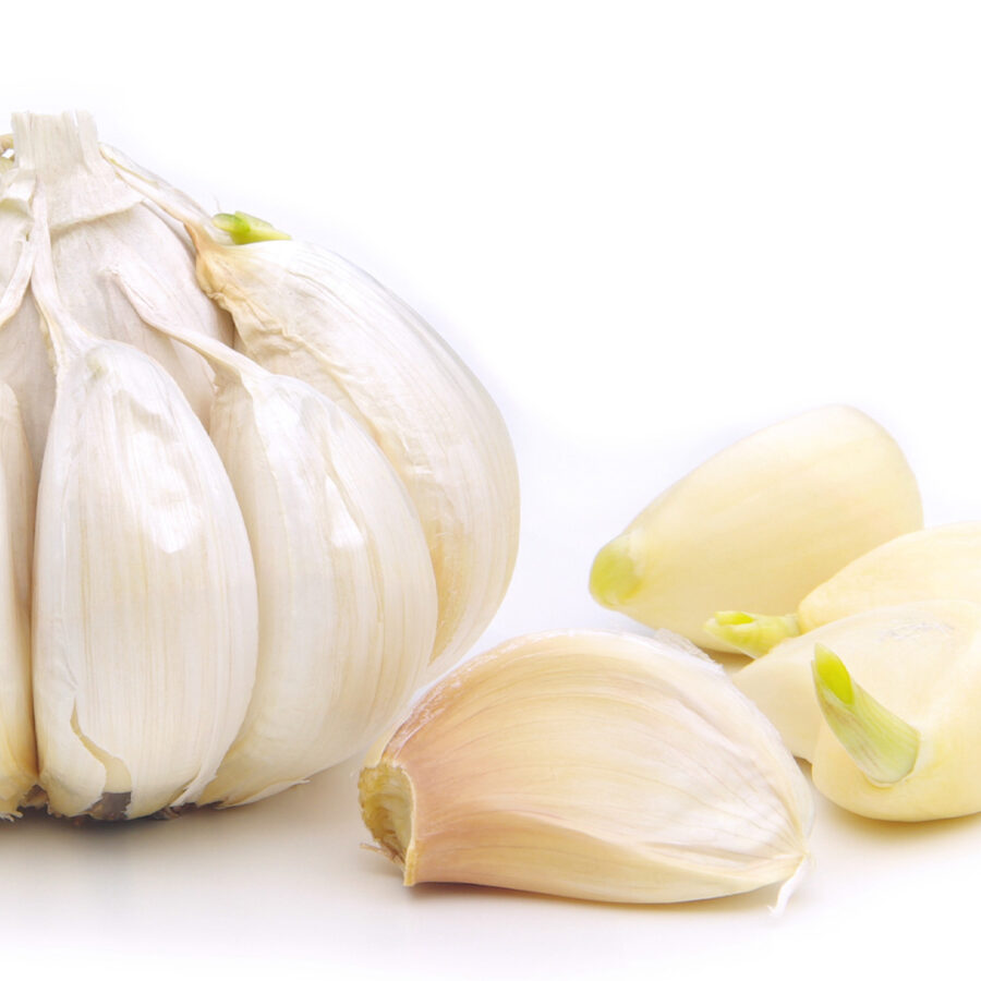 Knoblauch